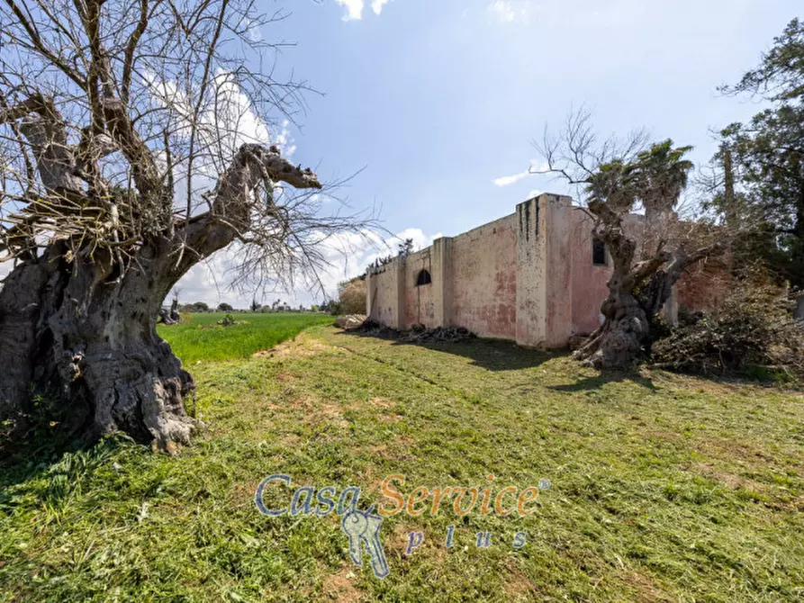 Immagine 19 di Terreno in vendita  in Via Provinciale per Alezio a Sannicola