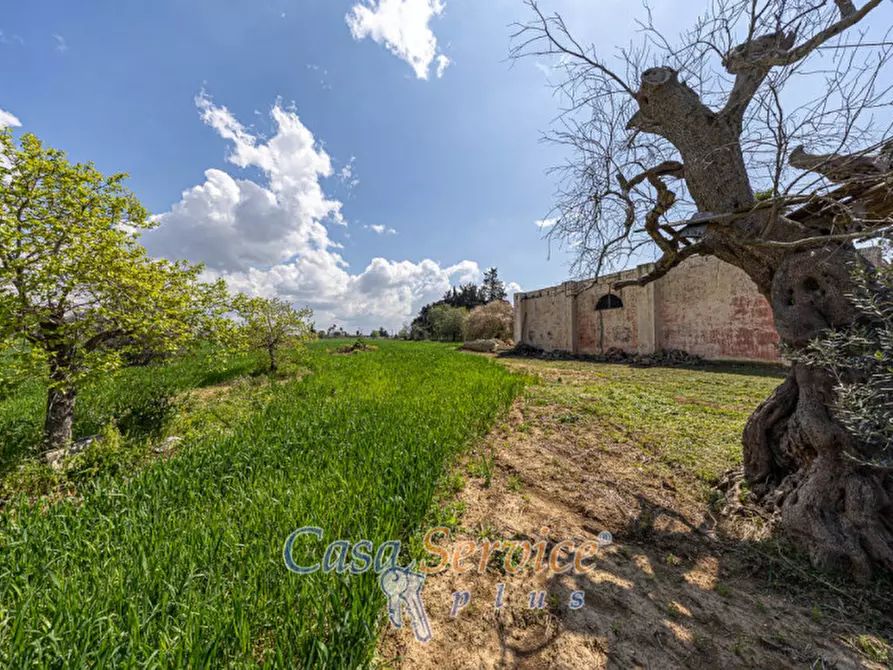 Immagine 20 di Terreno in vendita  in Via Provinciale per Alezio a Sannicola