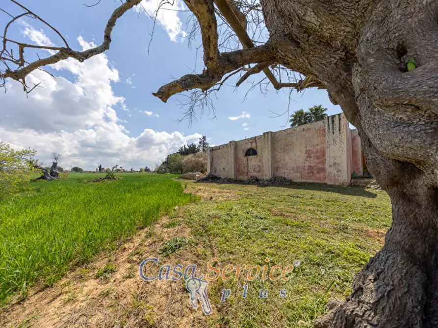 Immagine 21 di Terreno in vendita  in Via Provinciale per Alezio a Sannicola