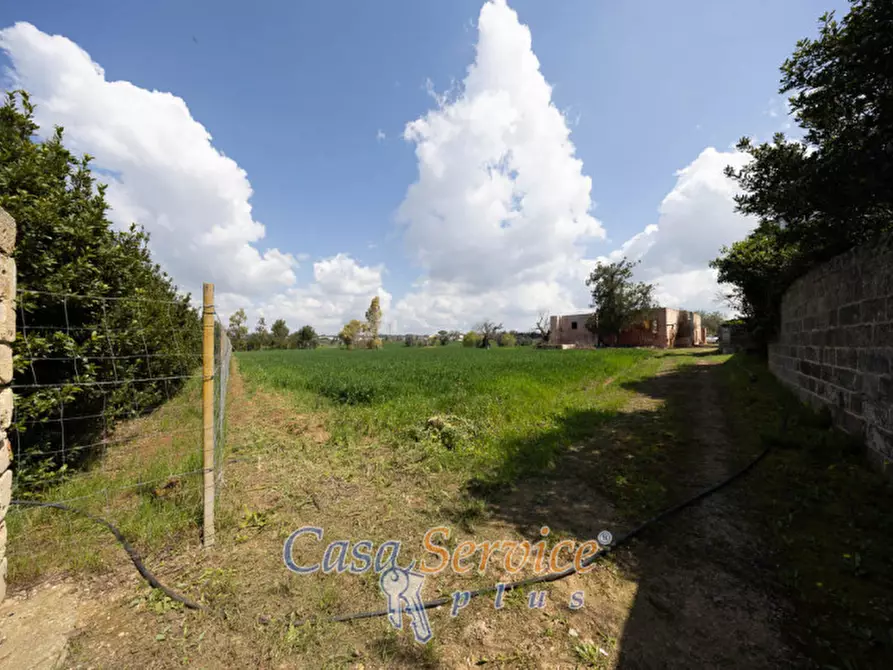 Immagine 22 di Terreno in vendita  in Via Provinciale per Alezio a Sannicola