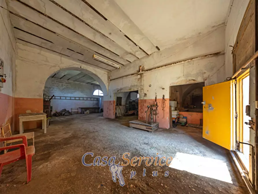 Immagine 24 di Terreno in vendita  in Via Provinciale per Alezio a Sannicola