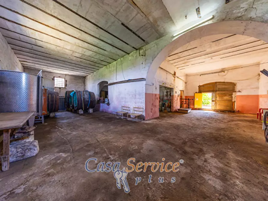 Immagine 26 di Terreno in vendita  in Via Provinciale per Alezio a Sannicola