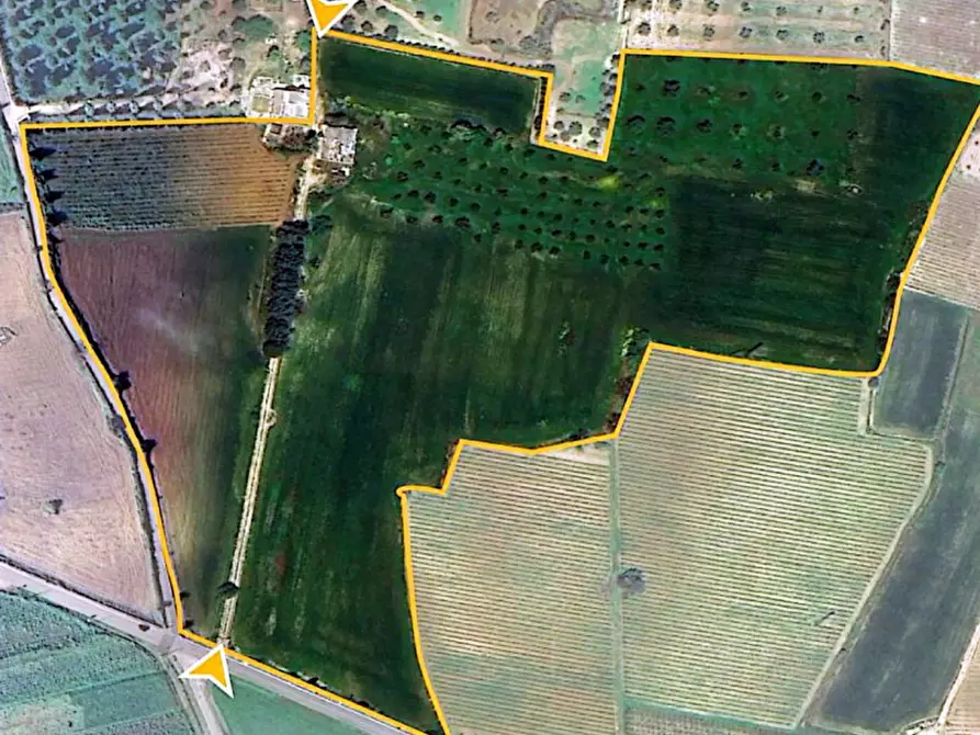 Immagine 31 di Terreno in vendita  in Via Provinciale per Alezio a Sannicola
