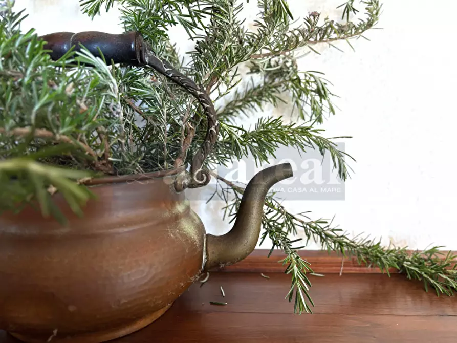 Immagine 10 di Casa bifamiliare in vendita  a Castiglione Della Pescaia