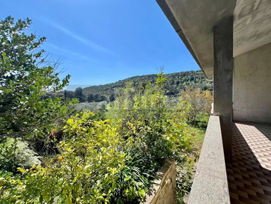 Immagine 25 di Casa bifamiliare in vendita  a Castiglione Della Pescaia