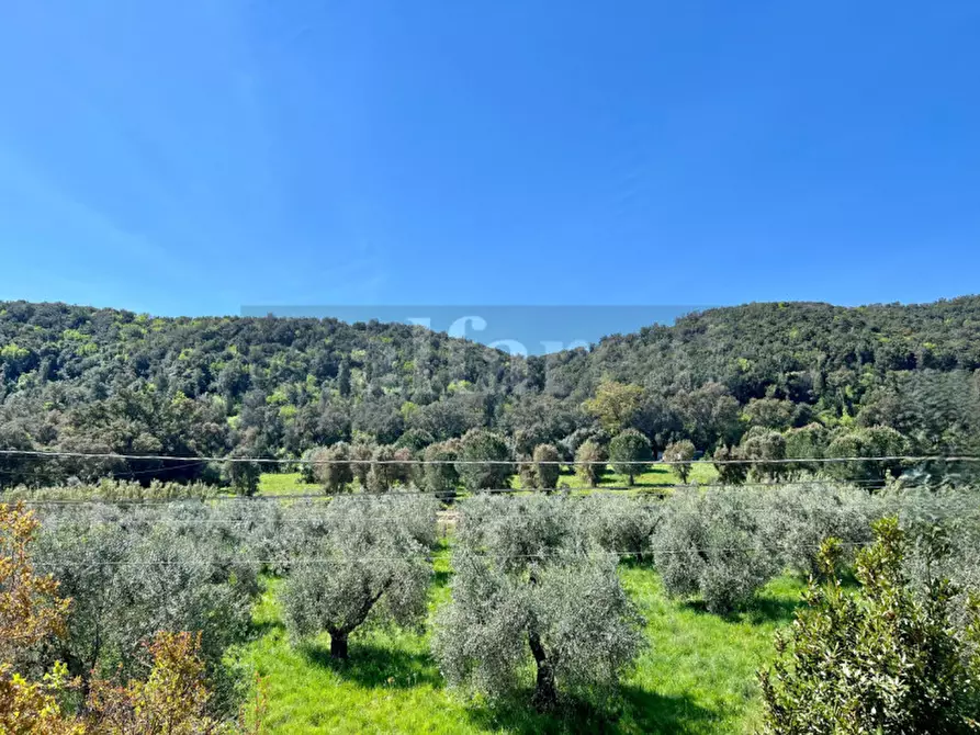 Immagine 27 di Casa bifamiliare in vendita  a Castiglione Della Pescaia