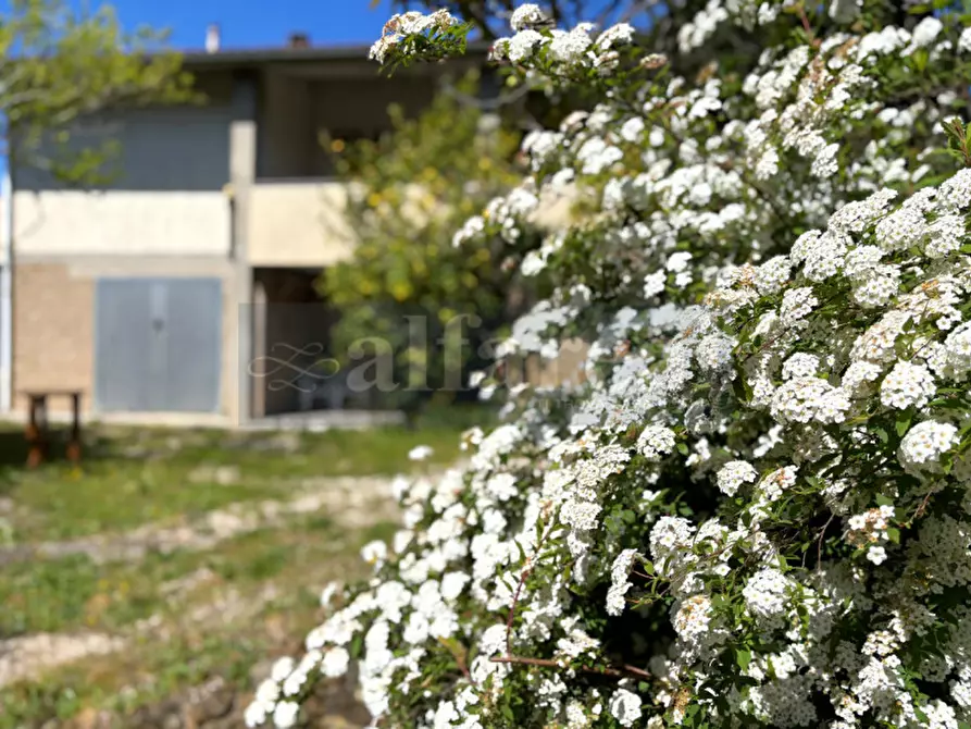 Immagine 29 di Casa bifamiliare in vendita  a Castiglione Della Pescaia