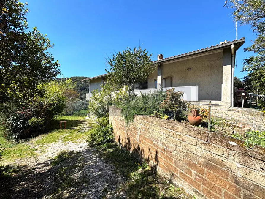 Immagine 30 di Casa bifamiliare in vendita  a Castiglione Della Pescaia