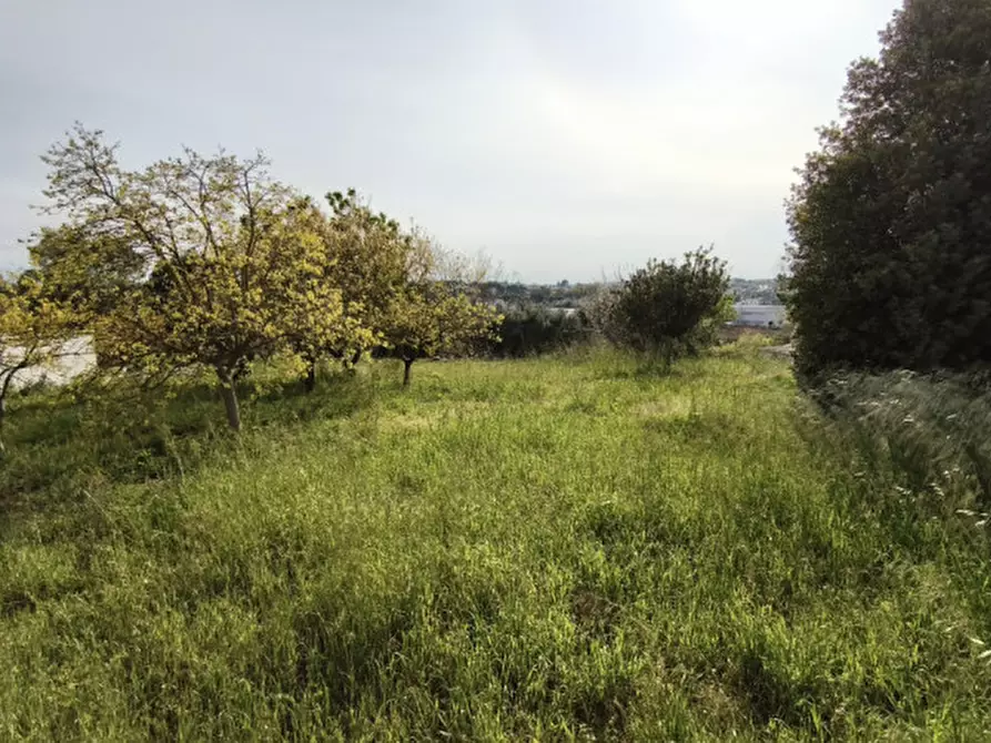 Immagine 6 di Rustico / casale in vendita  in BARMAN a Locorotondo