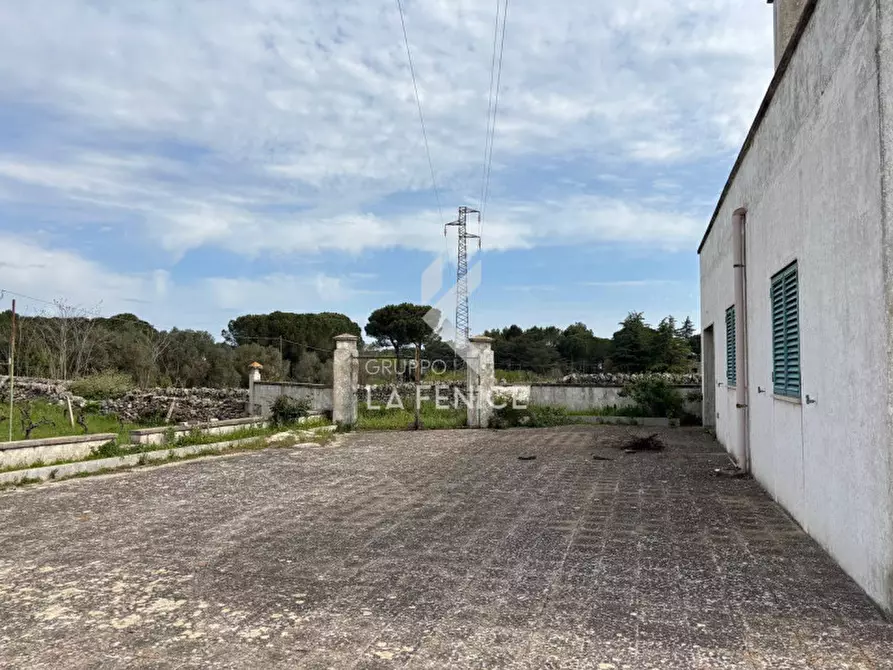 Immagine 3 di Rustico / casale in vendita  in strada foggevo a Martina Franca