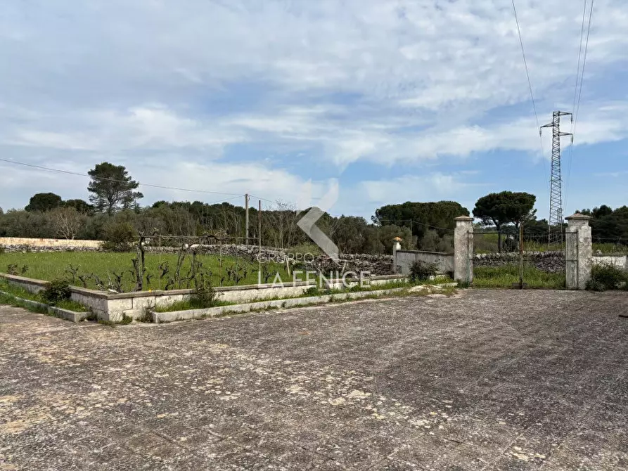 Immagine 4 di Rustico / casale in vendita  in strada foggevo a Martina Franca