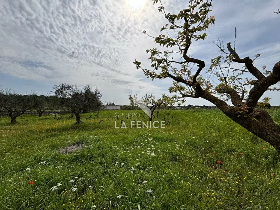 Immagine 10 di Rustico / casale in vendita  in strada foggevo a Martina Franca