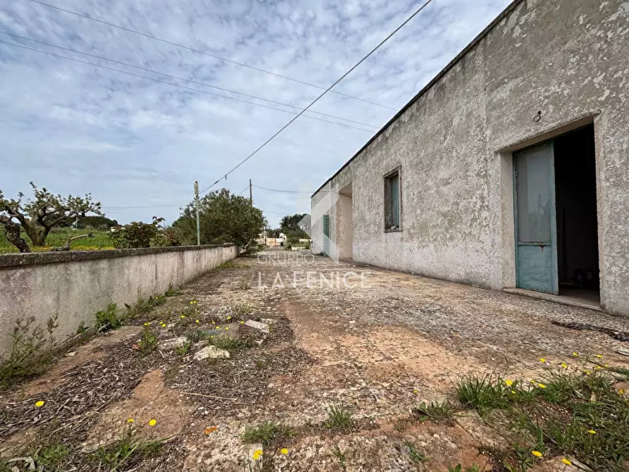 Immagine 13 di Rustico / casale in vendita  in strada foggevo a Martina Franca