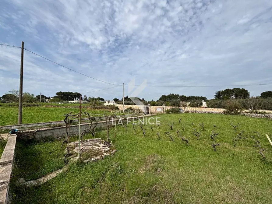 Immagine 29 di Rustico / casale in vendita  in strada foggevo a Martina Franca