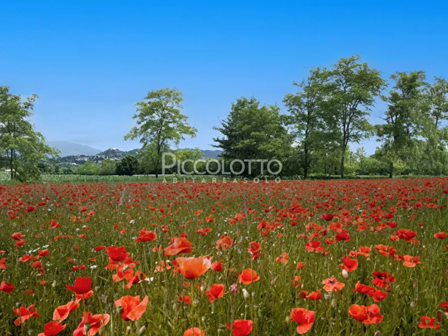 Immagine 9 di Attico in vendita  in via Calò a Asolo