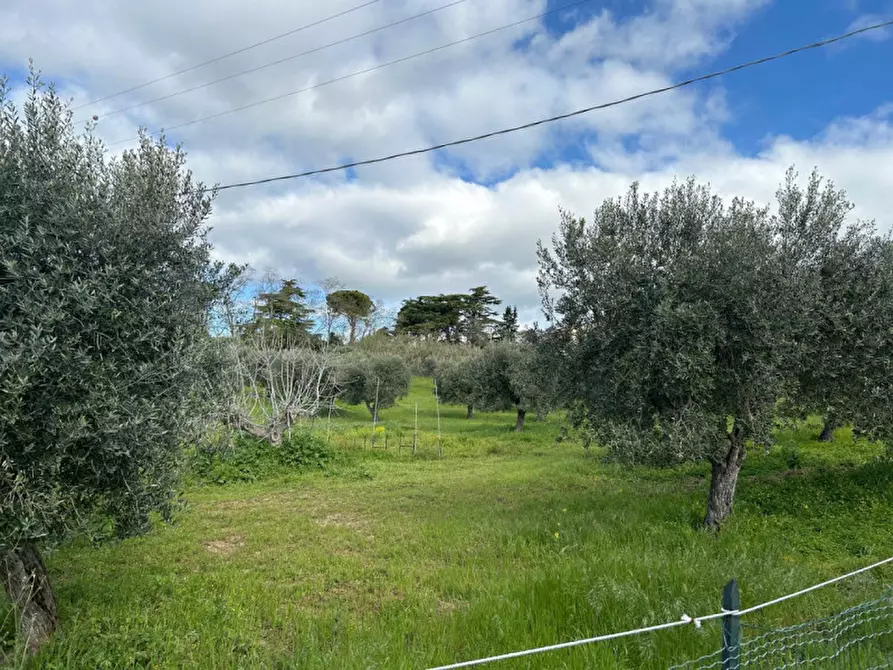 mansarda in vendita a Pescara in zona San Silvestro