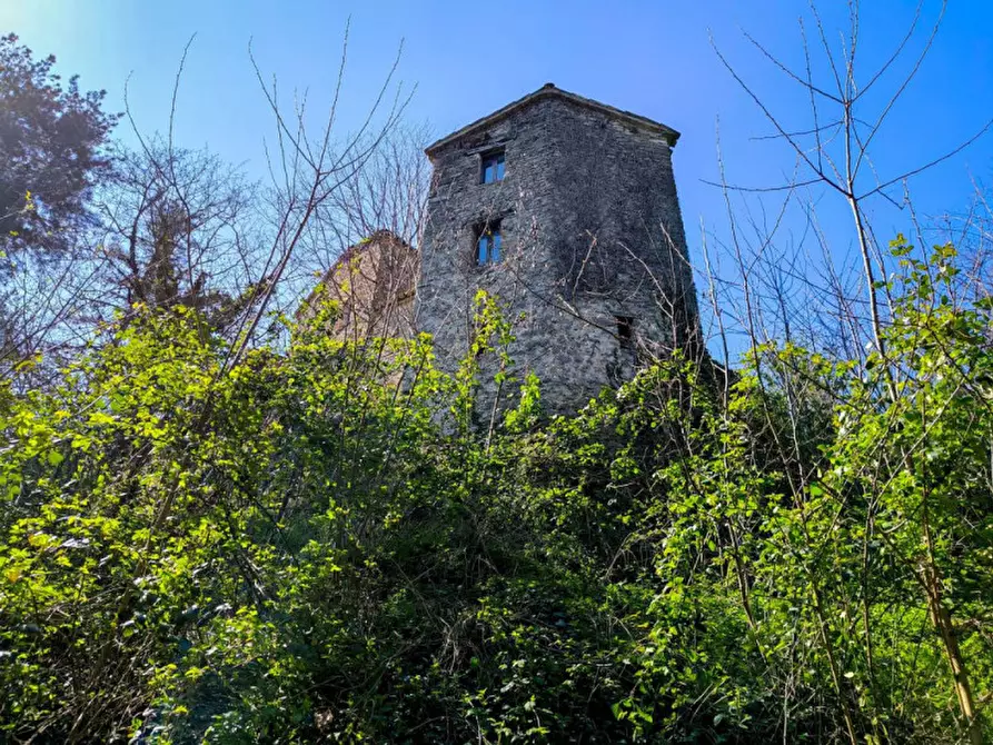 Immagine 10 di Rustico / casale in vendita  in Monterone a Sestino
