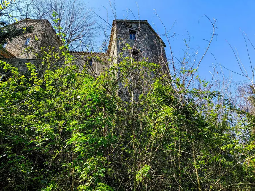 Immagine 11 di Rustico / casale in vendita  in Monterone a Sestino