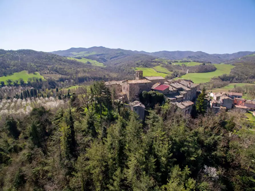 Immagine 14 di Rustico / casale in vendita  in Monterone a Sestino