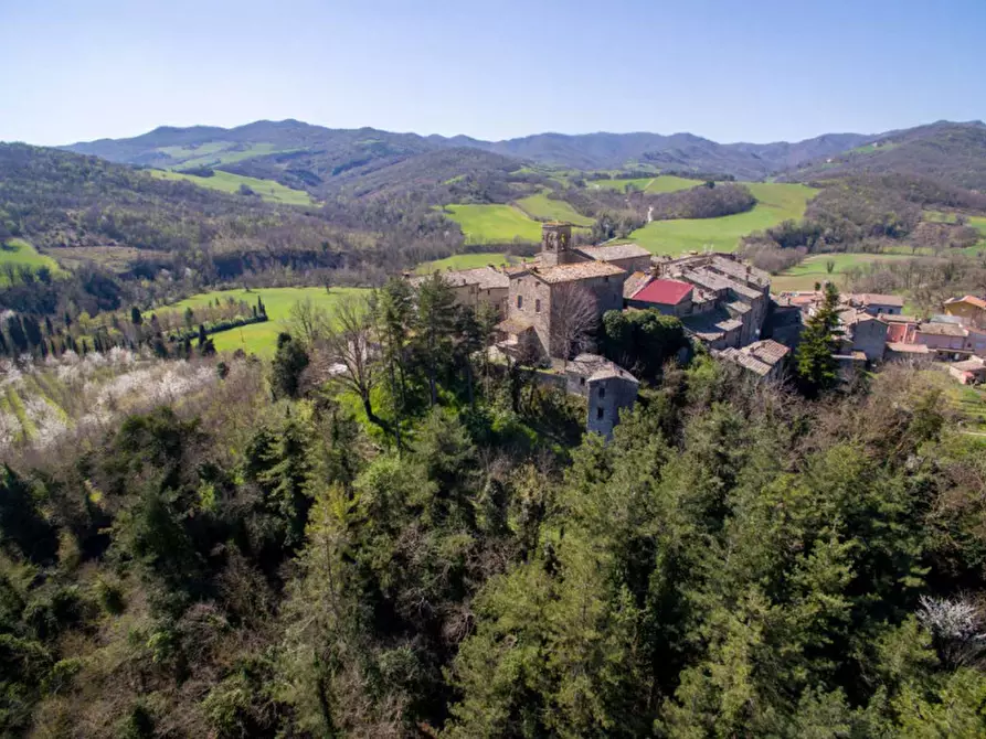 Immagine 15 di Rustico / casale in vendita  in Monterone a Sestino