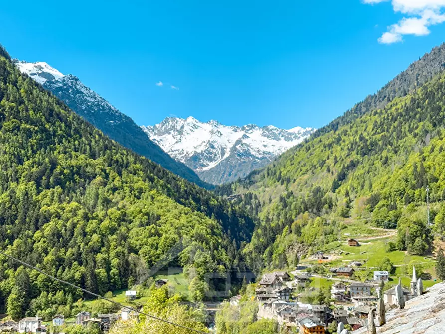 Immagine 6 di Rustico / casale in vendita  in Piana Fuseria a Alagna Valsesia