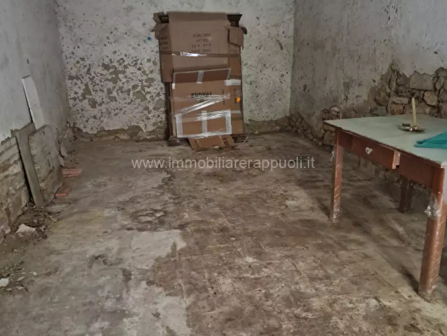 Immagine 2 di Magazzino in vendita  a Rapolano Terme