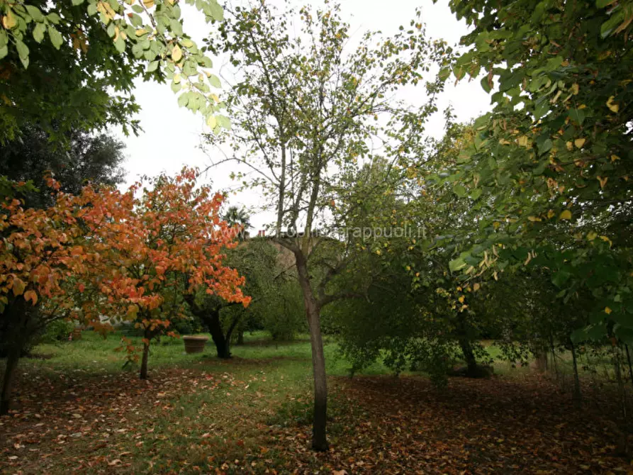 Immagine 19 di Villa in vendita  a Sinalunga