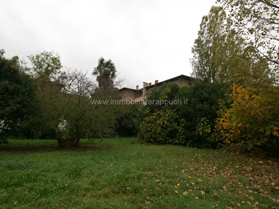 Immagine 20 di Villa in vendita  a Sinalunga