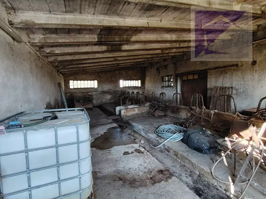 Immagine 32 di Casa bifamiliare in vendita  a Massanzago