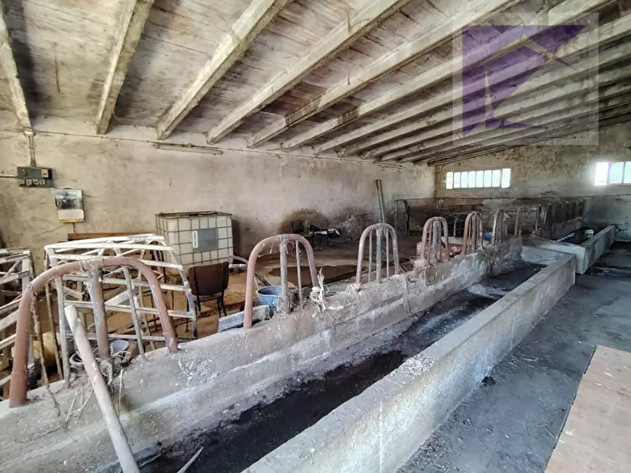 Immagine 42 di Casa bifamiliare in vendita  a Massanzago