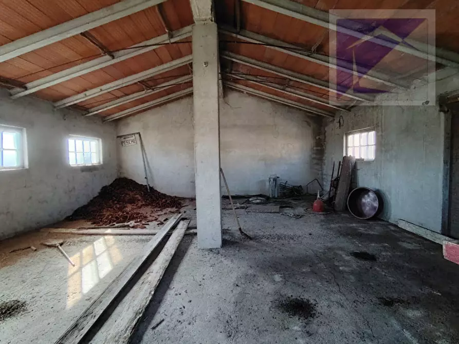 Immagine 52 di Casa bifamiliare in vendita  a Massanzago