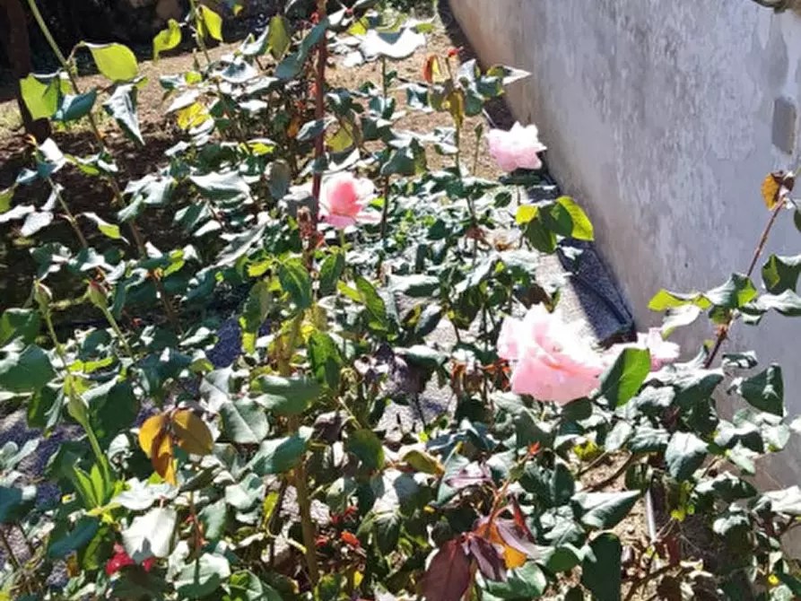 Immagine 61 di Villa in vendita  in Via Montanara 68 a Sava