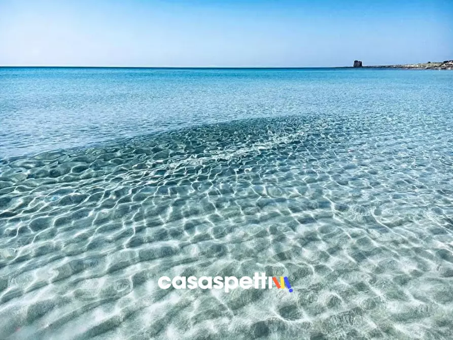 Immagine 65 di Villa in vendita  in Via Montanara 68 a Sava