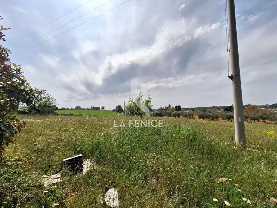 Immagine 2 di Terreno in vendita  in Strada Casina Gemma a Martina Franca