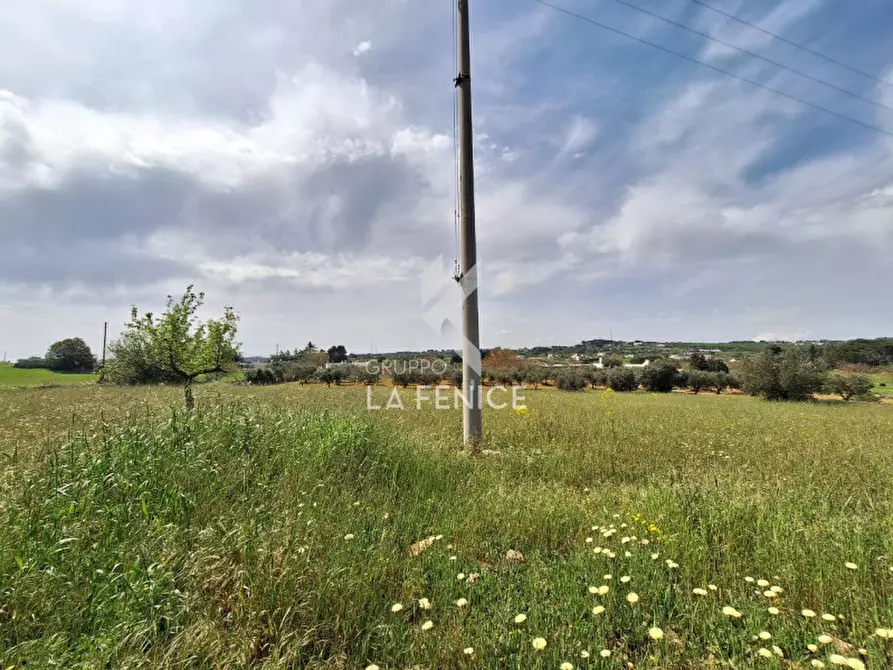 Immagine 3 di Terreno in vendita  in Strada Casina Gemma a Martina Franca