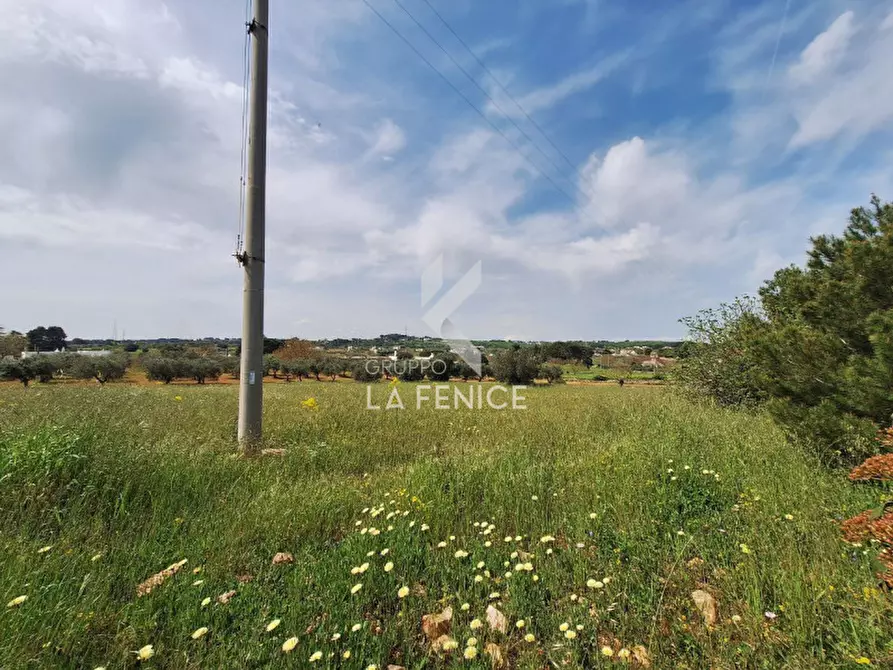 Immagine 4 di Terreno in vendita  in Strada Casina Gemma a Martina Franca
