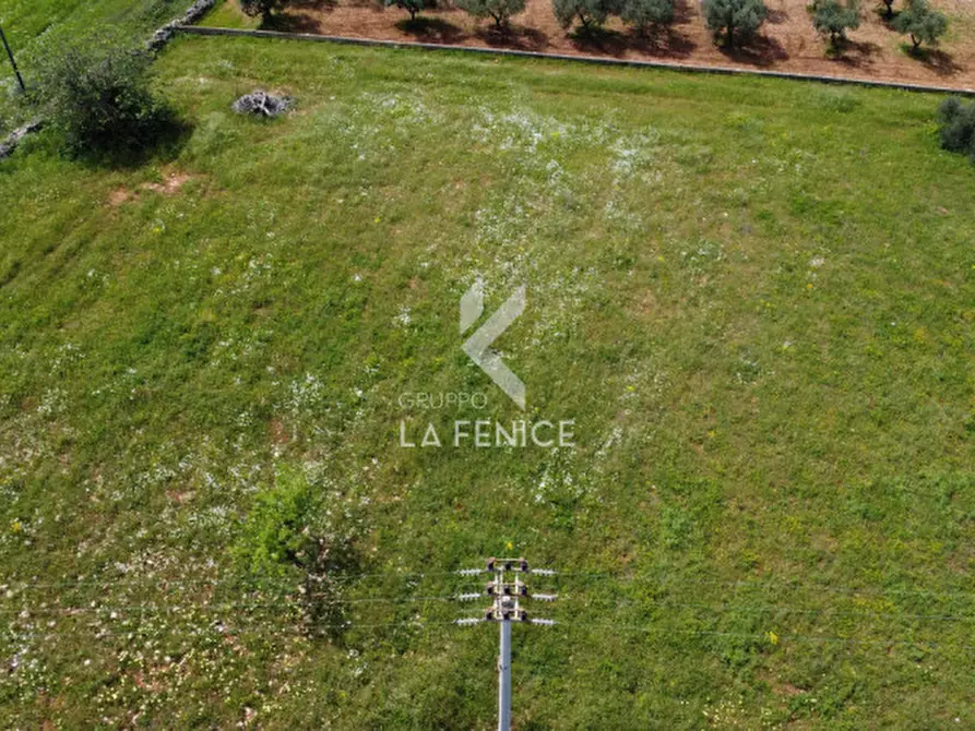 Immagine 5 di Terreno in vendita  in Strada Casina Gemma a Martina Franca
