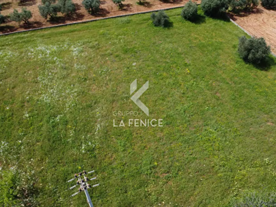 Immagine 6 di Terreno in vendita  in Strada Casina Gemma a Martina Franca