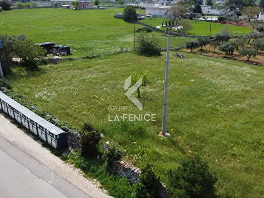 Immagine 7 di Terreno in vendita  in Strada Casina Gemma a Martina Franca