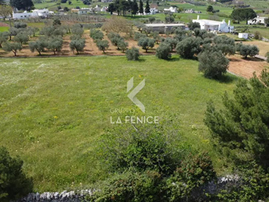 Immagine 8 di Terreno in vendita  in Strada Casina Gemma a Martina Franca