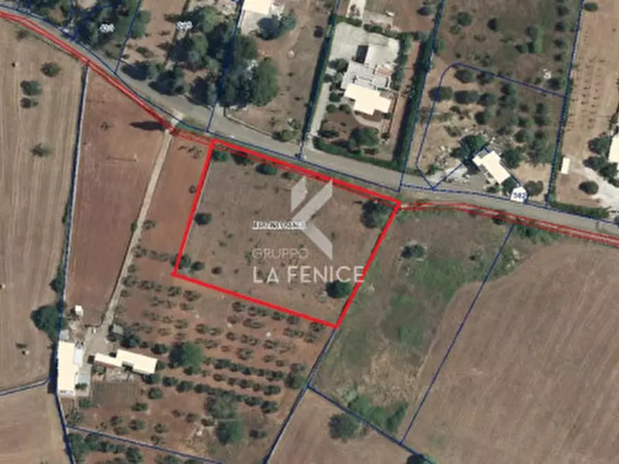 Immagine 12 di Terreno in vendita  in Strada Casina Gemma a Martina Franca