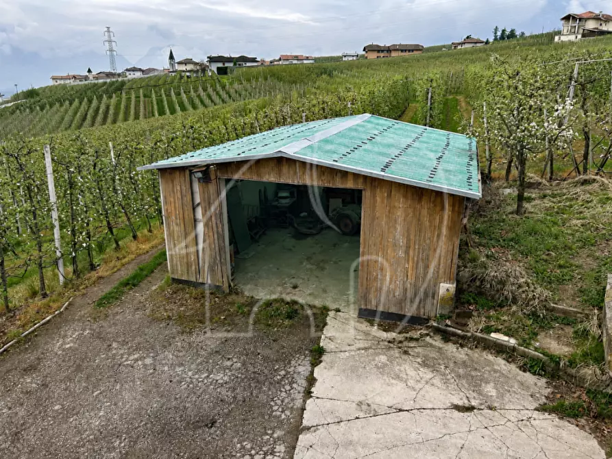 Immagine 8 di Casa indipendente in vendita  in sanzenone a Ville D'anaunia