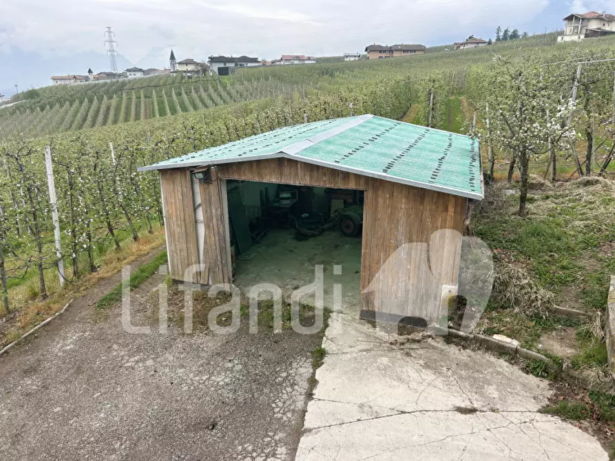 Immagine 17 di Casa indipendente in vendita  in sanzenone a Ville D'anaunia