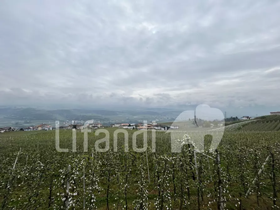 Immagine 18 di Casa indipendente in vendita  in sanzenone a Ville D'anaunia