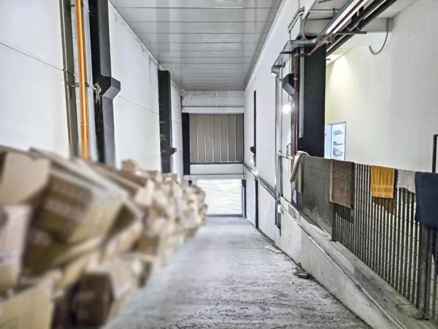 Immagine 15 di Negozio in vendita  in Via S. Travaglia, N. 1 a Monselice