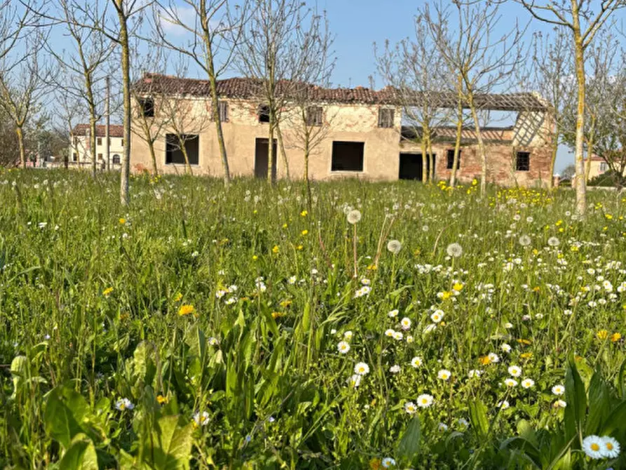 Immagine 1 di Rustico / casale in vendita  a Badia Polesine