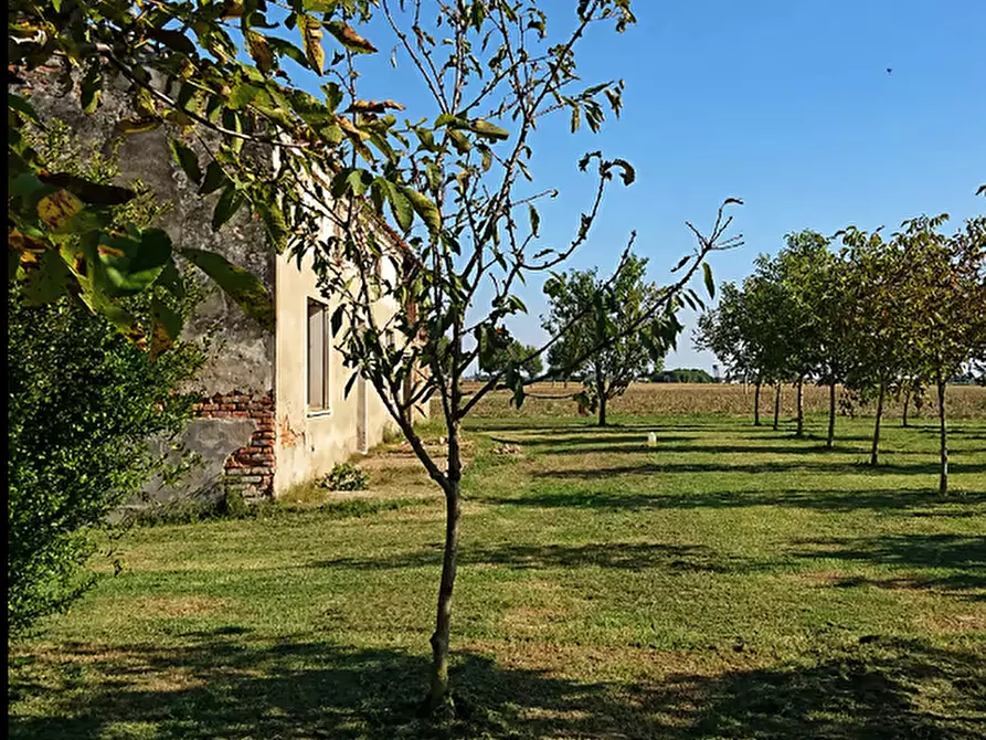 Immagine 2 di Rustico / casale in vendita  a Badia Polesine
