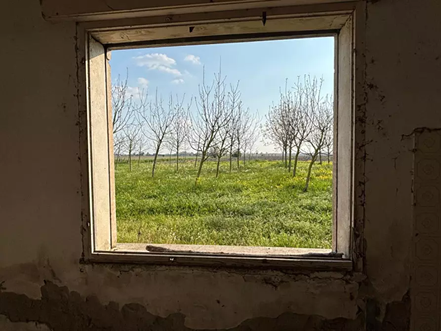 Immagine 3 di Rustico / casale in vendita  a Badia Polesine