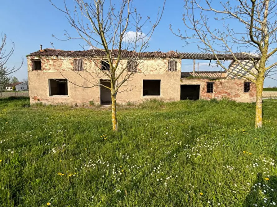 Immagine 6 di Rustico / casale in vendita  a Badia Polesine