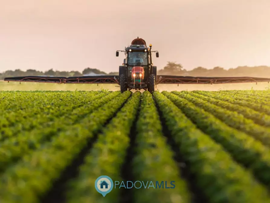 Immagine 1 di Terreno in vendita  in Quartiere della Fornace a Conselve